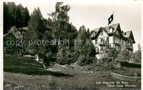 AK / Ansichtskarte Les_Mayens de Sion Hotel Rosa Blanche Les_Mayens de Sion