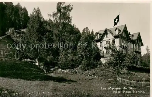 AK / Ansichtskarte Les_Mayens de Sion Hotel Rosa Blanche Les_Mayens de Sion