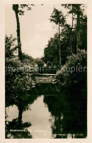AK / Ansichtskarte Dublowice_Dublowitz_CZ Na Brsine 