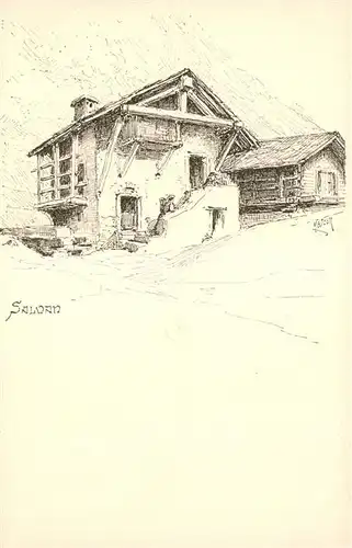 AK / Ansichtskarte Salvan Haus Partie Kuenstlerkarte Meltzer Salvan