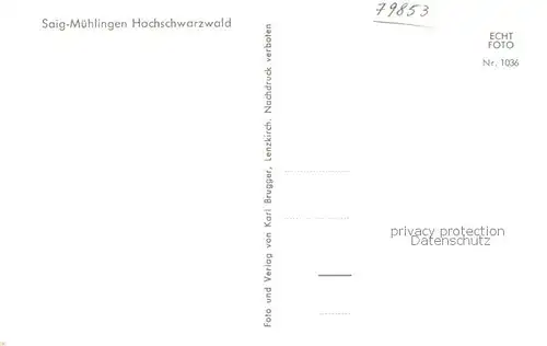 AK / Ansichtskarte Muehlingen_Saig_Schwarzwald Teilansicht Hochschwarzwald Muehlingen_Saig