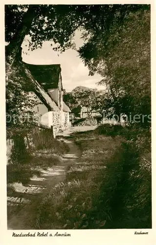 AK / Ansichtskarte Nebel_Amrum Waldweg Dorfrand Bach Nebel Amrum
