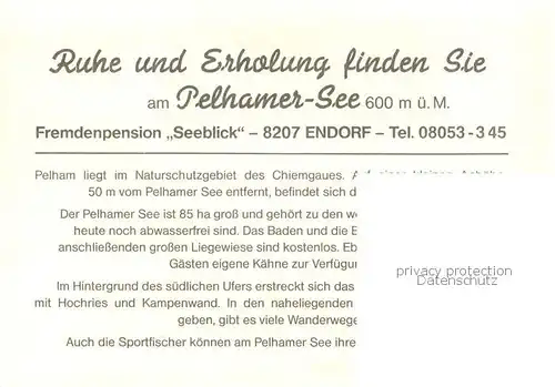 AK / Ansichtskarte Pelham_Oberbayern Pension Seeblick am Pelhamer See Panorama Blick zur Kampenwand Alpen Bootfahren Pelham Oberbayern
