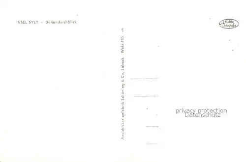 AK / Ansichtskarte Insel_Sylt Duenendurchblick Insel_Sylt