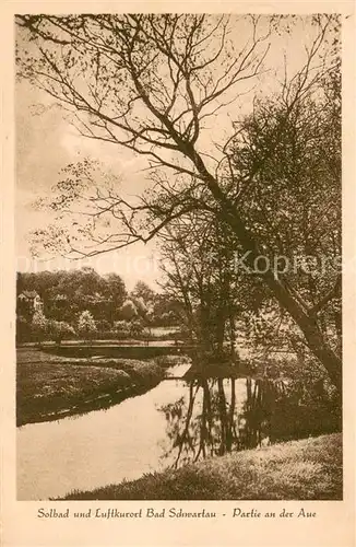 AK / Ansichtskarte Bad_Schwartau Partie an der Aue Bad_Schwartau