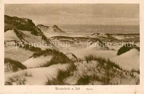 AK / Ansichtskarte Westerland_Sylt Duenen Westerland_Sylt