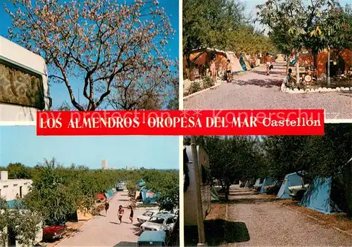 AK / Ansichtskarte Oropesa_del_Mar Camping Los Almendros Oropesa_del_Mar