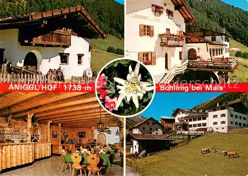 AK / Ansichtskarte Schlinig_Mals_Suedtirol Aniggl Hof Gastraum Pferdekoppel Edelweiss Schlinig_Mals_Suedtirol
