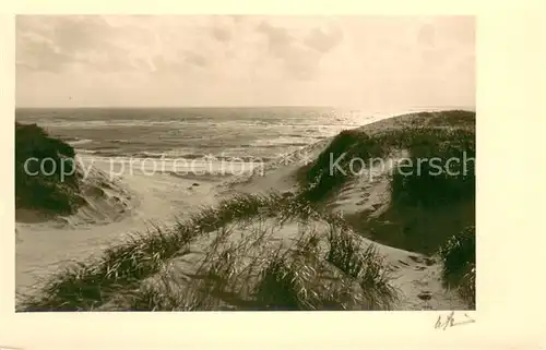 AK / Ansichtskarte Insel_Sylt Duenen Insel_Sylt