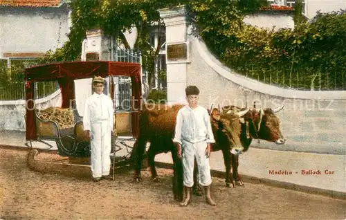 AK / Ansichtskarte Madeira__Portugal Bullock Car 