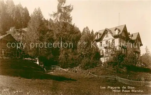 AK / Ansichtskarte Sion__Sitten_Seduno_VS Hotel Rosa Blanche 