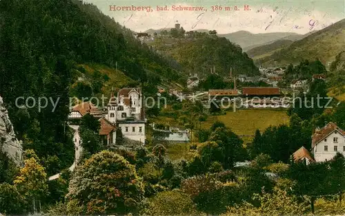 AK / Ansichtskarte Hornberg_Schwarzwald Teilansicht Hornberg Schwarzwald