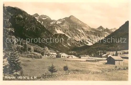 AK / Ansichtskarte Birgsau_Oberstdorf Teilansicht Berge 