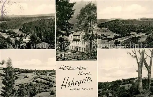 AK / Ansichtskarte Hohegeiss_Harz Panorama Details Hohegeiss Harz