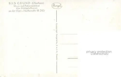 AK / Ansichtskarte Bad_Grund Panorama Rinderherde Bad_Grund