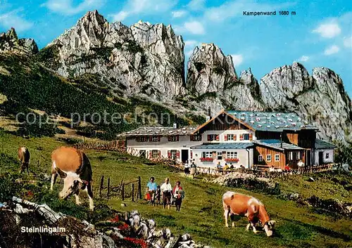 AK / Ansichtskarte Aschau_Chiemgau Steinlingalm an der Kampenwand Chiemgauer Alpen Almvieh Aschau Chiemgau