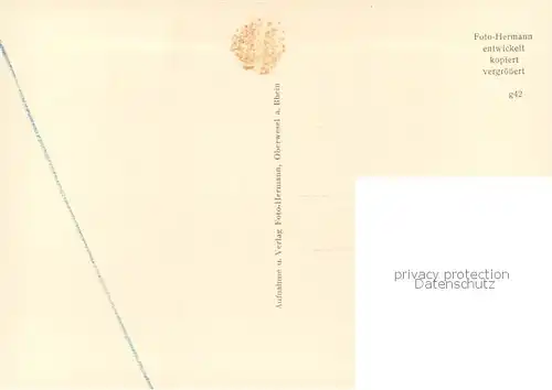 AK / Ansichtskarte Oberwesel_Rhein Panorama Oberwesel Rhein