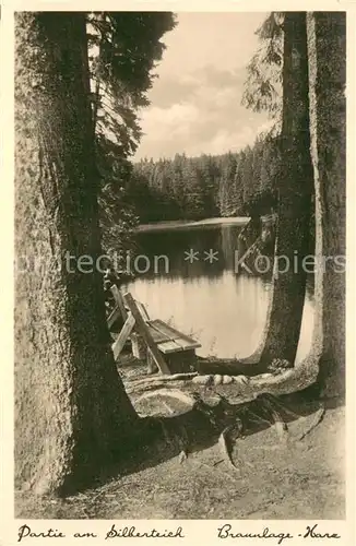 AK / Ansichtskarte Braunlage Partie am Silberteich Braunlage