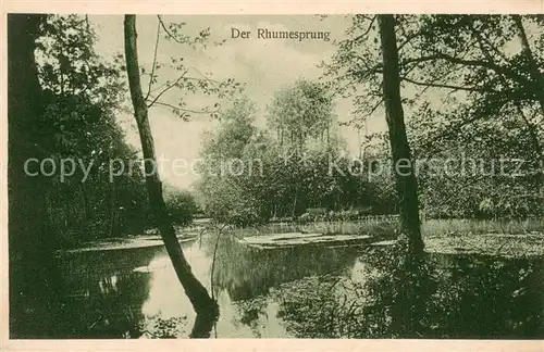 AK / Ansichtskarte Rhumesprung_Rhumspringe Rhumequelle 