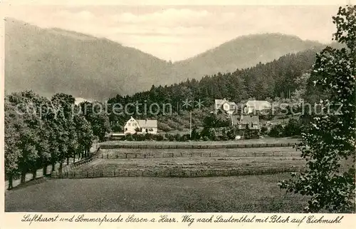 AK / Ansichtskarte Seesen_Harz Weg nach Lautenthal mit Blick auf Eickmuhl Seesen Harz