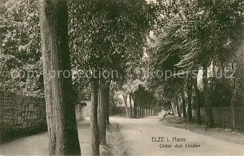 AK / Ansichtskarte Elze_Wedemark Unter den Linden Elze Wedemark