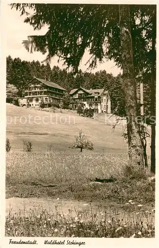 AK / Ansichtskarte Freudenstadt Waldhotel Cafe Stokinger Freudenstadt