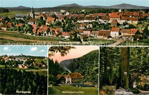 AK / Ansichtskarte Benneckenstein_Harz Panorama Hohegeiss Wolfsbachmuehle Dicke Tannen Benneckenstein_Harz
