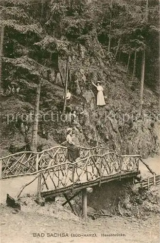 AK / Ansichtskarte Bad_Sachsa_Harz Hexenbruecke Bad_Sachsa_Harz