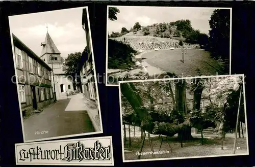 AK / Ansichtskarte Hitzacker_Elbe Kirche Am Weinberg Riesenkastanie Hitzacker Elbe