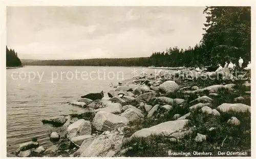 AK / Ansichtskarte Braunlage Am Oderteich Braunlage