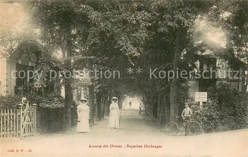 AK / Ansichtskarte Liege_Le Avenue des Ormes Superbes Ombrages Liege_Le