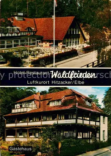 AK / Ansichtskarte Hitzacker_Elbe Hotel Restaurant Waldfrieden Gaestehaus Hitzacker Elbe