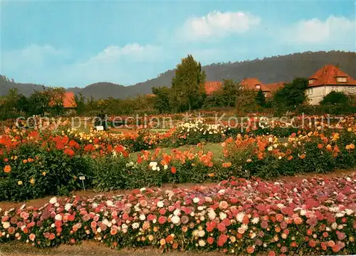 AK / Ansichtskarte Deckbergen Herbstbluete auf dem Essmannshof Deckbergen