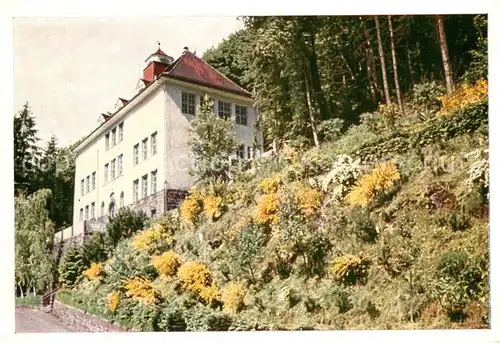 AK / Ansichtskarte Calw Spoehrerschule Waldschulgebaeude Calw