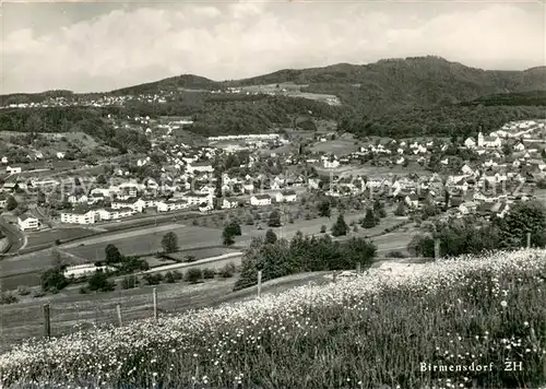 AK / Ansichtskarte Birmensdorf Panorama Birmensdorf