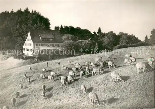 AK / Ansichtskarte Uetliberg_ZH Berghaus Baldern Kuhweide Uetliberg ZH