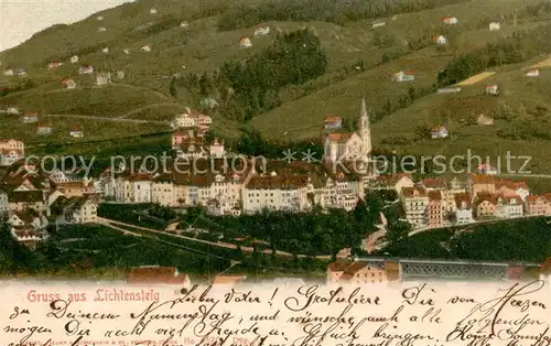 AK / Ansichtskarte Lichtensteig Panorama Lichtensteig