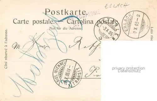 AK / Ansichtskarte Erlach_BE Panorama Erlach_BE