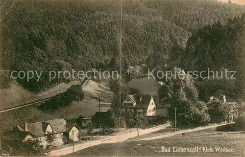 AK / Ansichtskarte Bad_Liebenzell Klein Wildbad Bad_Liebenzell