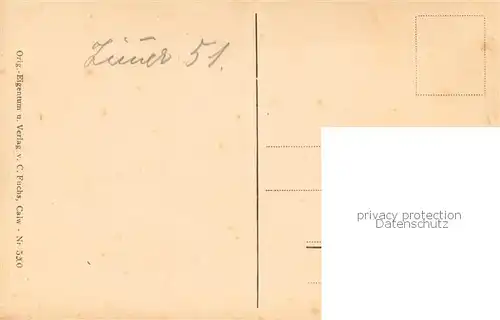 AK / Ansichtskarte Bad_Liebenzell Klein Wildbad Bad_Liebenzell