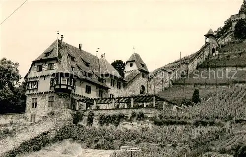 AK / Ansichtskarte Beilstein_Wuerttemberg Weinberg Gaststaette Beilstein_Wuerttemberg
