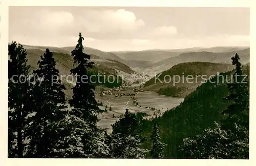 AK / Ansichtskarte Menzenschwand Blick vom Feldberg Menzenschwand