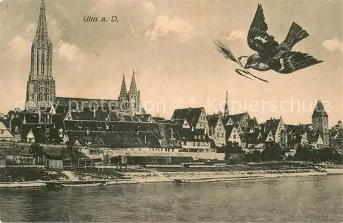AK / Ansichtskarte Ulm__Donau Stadtansicht mit Muenster 