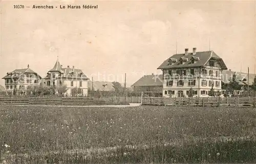 AK / Ansichtskarte Avenches Le Haras federal Avenches