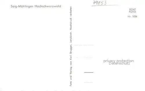 AK / Ansichtskarte Muehlingen_Saig_Schwarzwald Panorama Muehlingen_Saig