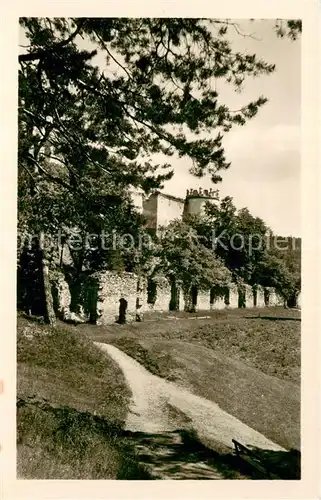 AK / Ansichtskarte Boskovice_CZ Hrad 