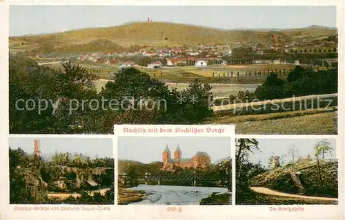AK / Ansichtskarte Rochlitz__Sachsen Gesamtansicht m. Rochlitzer Berge Schloss Koenigshoehe 