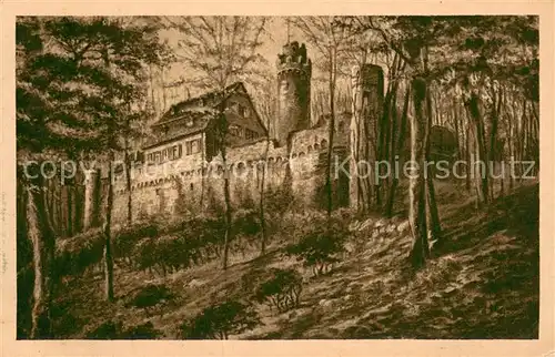 AK / Ansichtskarte Auerbach_Bergstrasse Schloss Auerbach_Bergstrasse