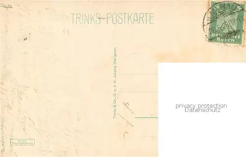 AK / Ansichtskarte Bad_Ilmenau Villenviertel Bad_Ilmenau