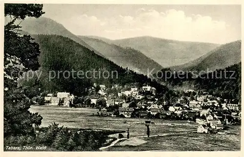 AK / Ansichtskarte Tabarz Panorama Tabarz